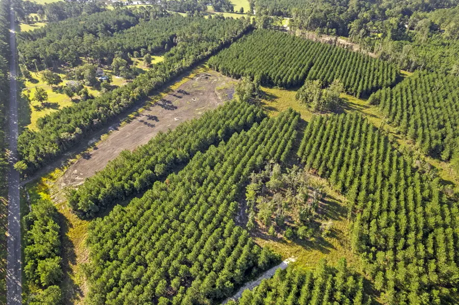 4 Rudd Road, Ridgeville, SC 29472 - #3