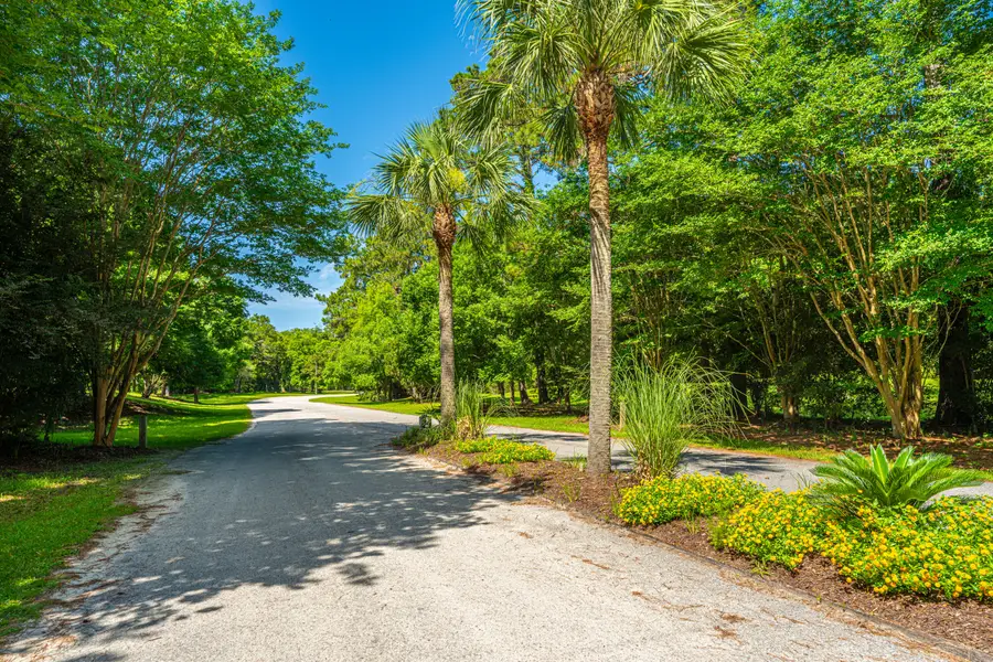 983 Seaside Lane, Edisto Island, SC 29438 - Image #3