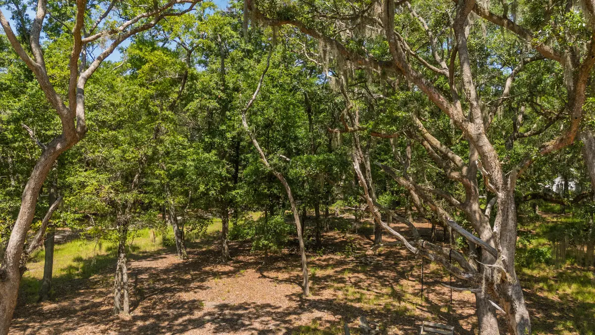 31 Tupelo Trail, Edisto Island, SC 29438 - Image #1