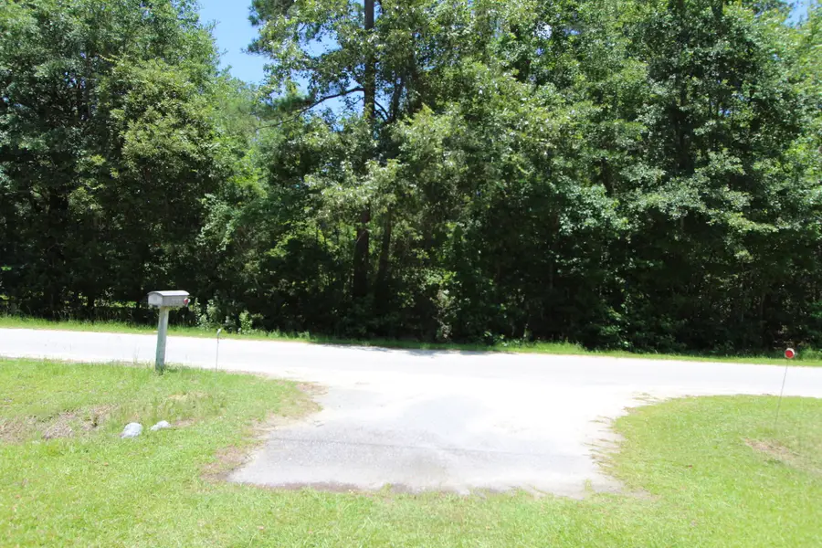 131 Gloverville Lane, Round O, SC 29474 - #2