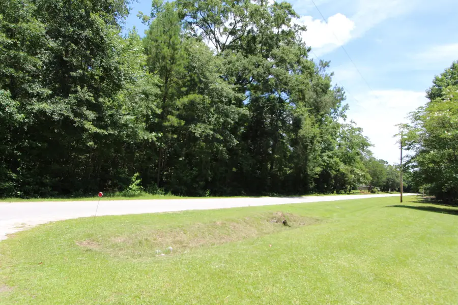 131 Gloverville Lane, Round O, SC 29474 - #3