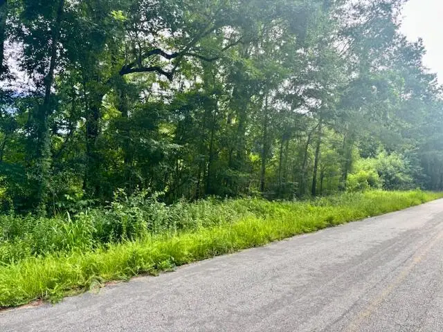 8946 Anderson Road, Adams Run, SC 29426 - Image #1