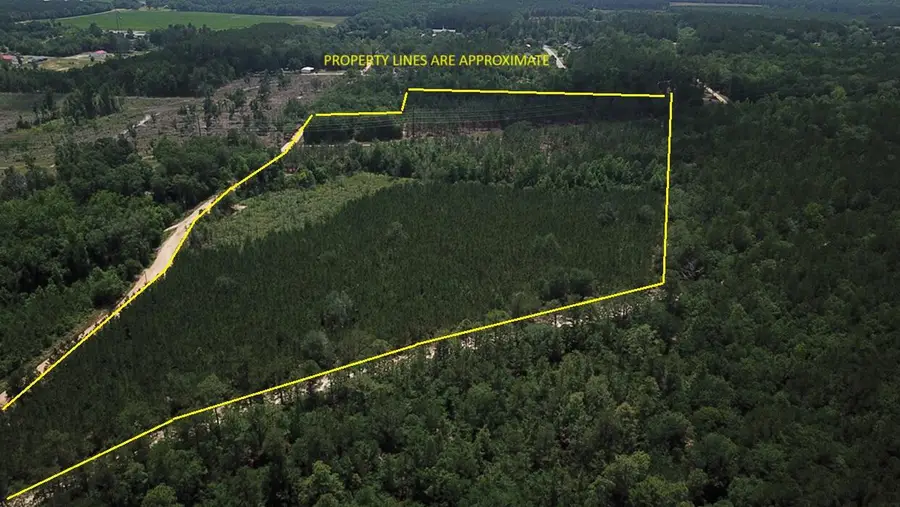 00 Stacey Bridge Rd, Orangeburg, SC 29118 - Image #3