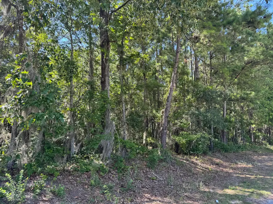 Tract 2 Tabernacle Road, Eutawville, SC 29048 - Image #2