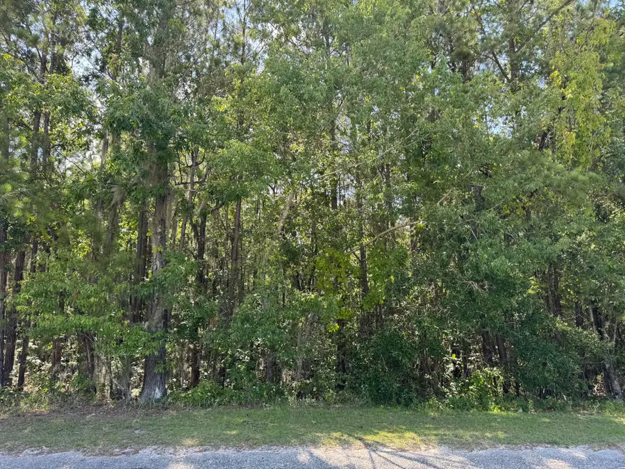 Tract 2 Tabernacle Road, Eutawville, SC 29048 - Image #3
