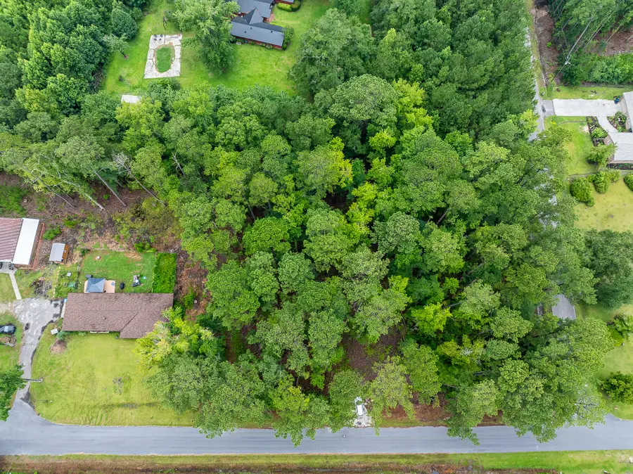 230 Appleby Avenue, Estill, SC 29918 - #3