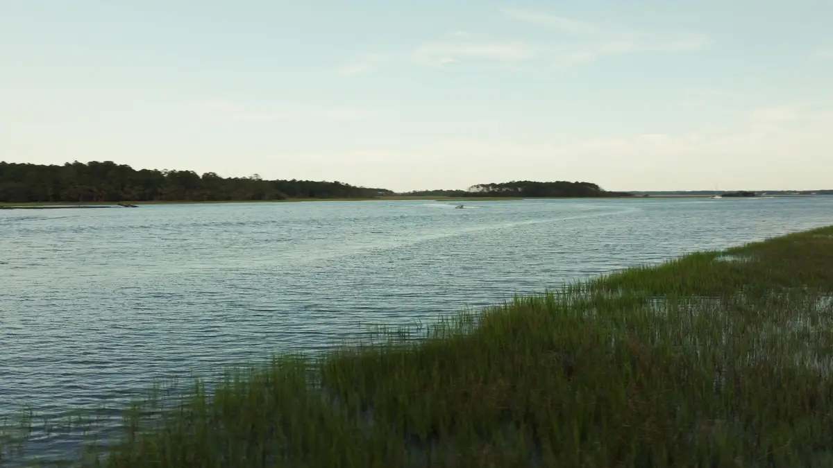 1171 Ship Builder Street, Charleston, SC 29492 - Image #1