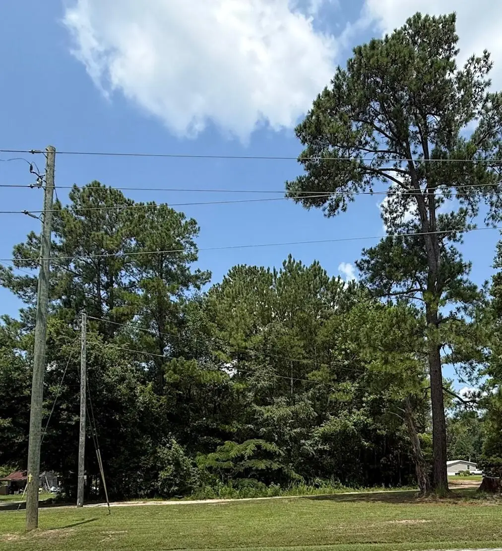 0 Mudville Road, Cross, SC 29436 - #1