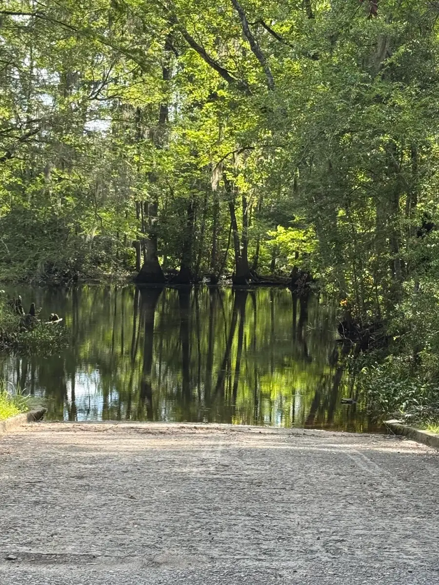 485 Corner Lake Road, Grays, SC 29916 - #3