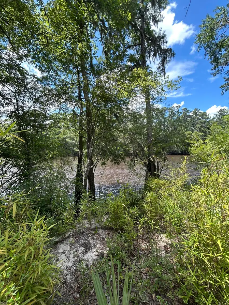 00 Shad Lane, Ridgeville, SC 29472 - #2