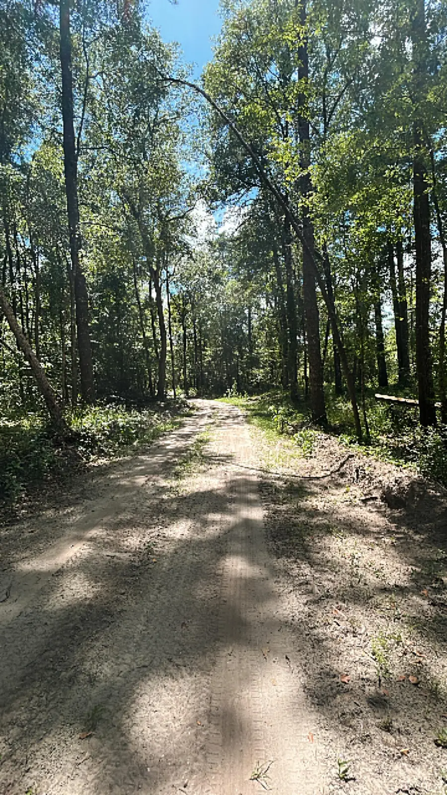 00 Shad Lane, Ridgeville, SC 29472 - #3