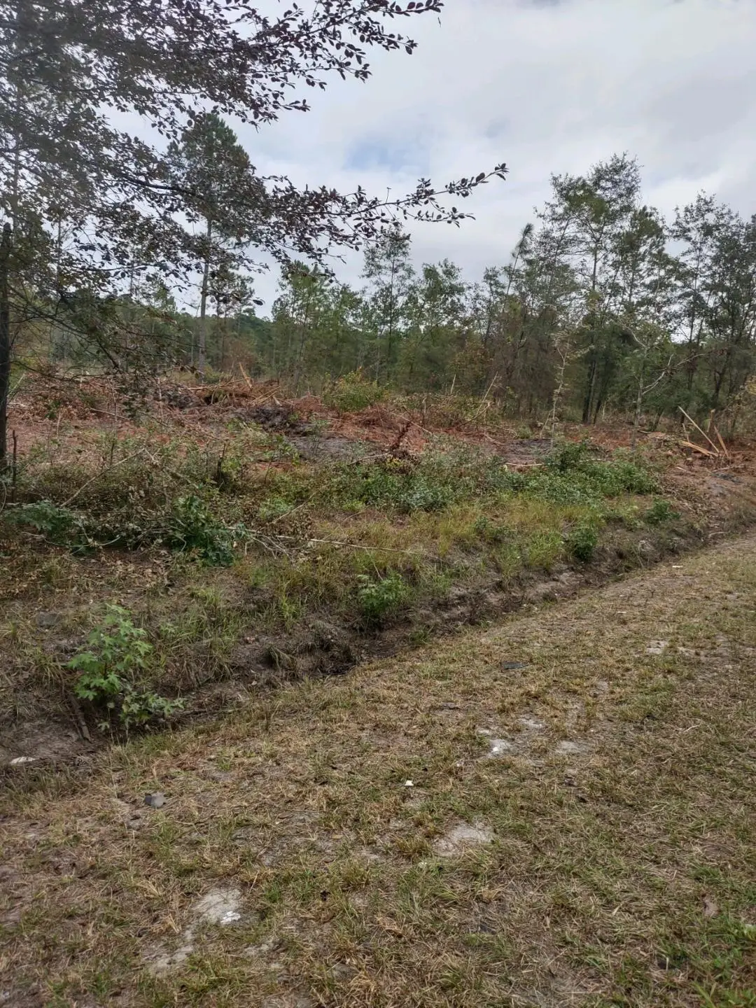 001 Rehoboth Road, Cottageville, SC 29435 - Image #1