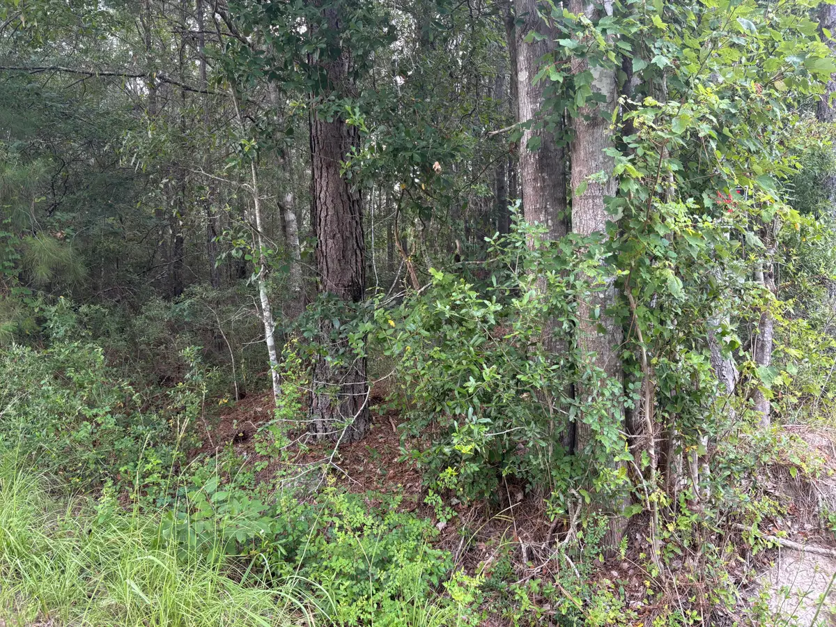 0 Walker Road, Ridgeville, SC 29472 - #1