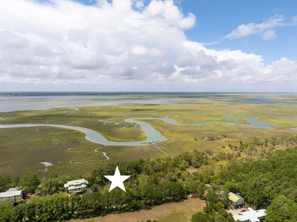 266 Old House Lane #Lot 120, Dewees Island, SC 29451 - #1