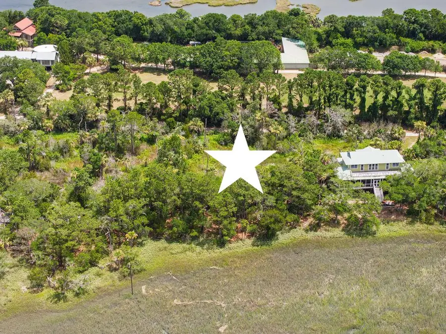 266 Old House Lane #Lot 120, Dewees Island, SC 29451 - #2