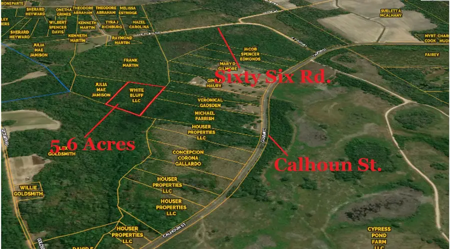 0 Calhoun Street, Branchville, SC 29432 - #3