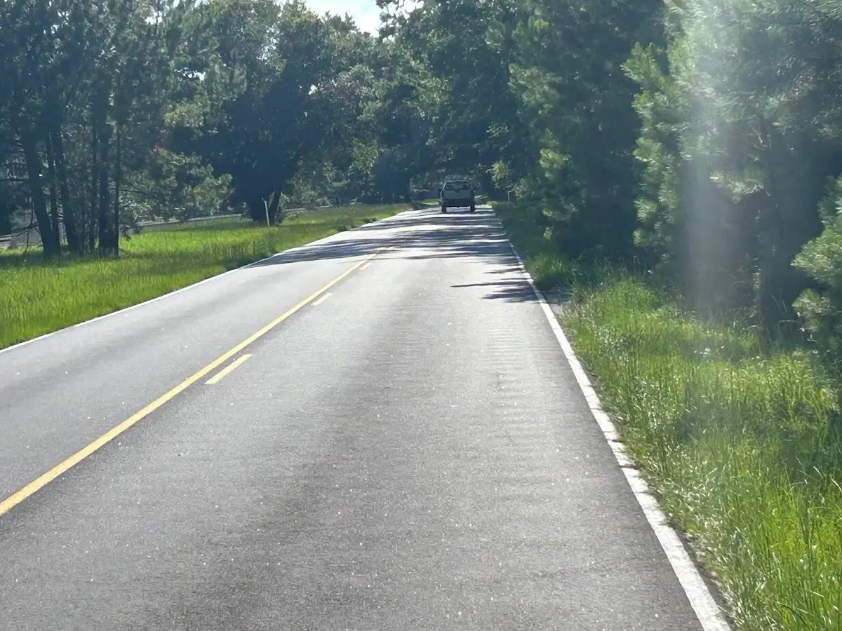 5856 Martin Street #Lot 4, Ravenel, SC 29470 - #1