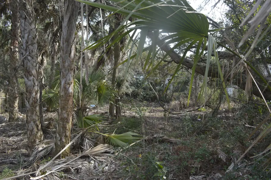 916 E Ashley Avenue, Folly Beach, SC 29439 - Image #3