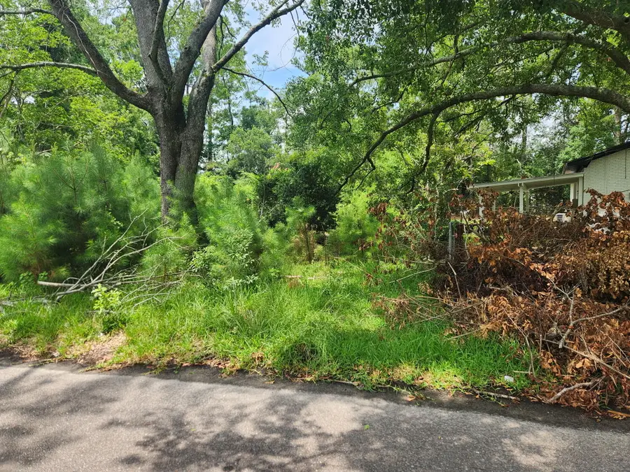 102 Hope Drive, Summerville, SC 29485 - Image #2