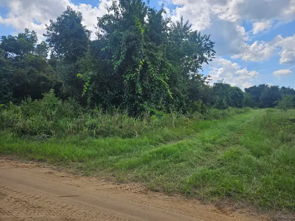 0 Jenkins Farm Road, Johns Island, SC 29455