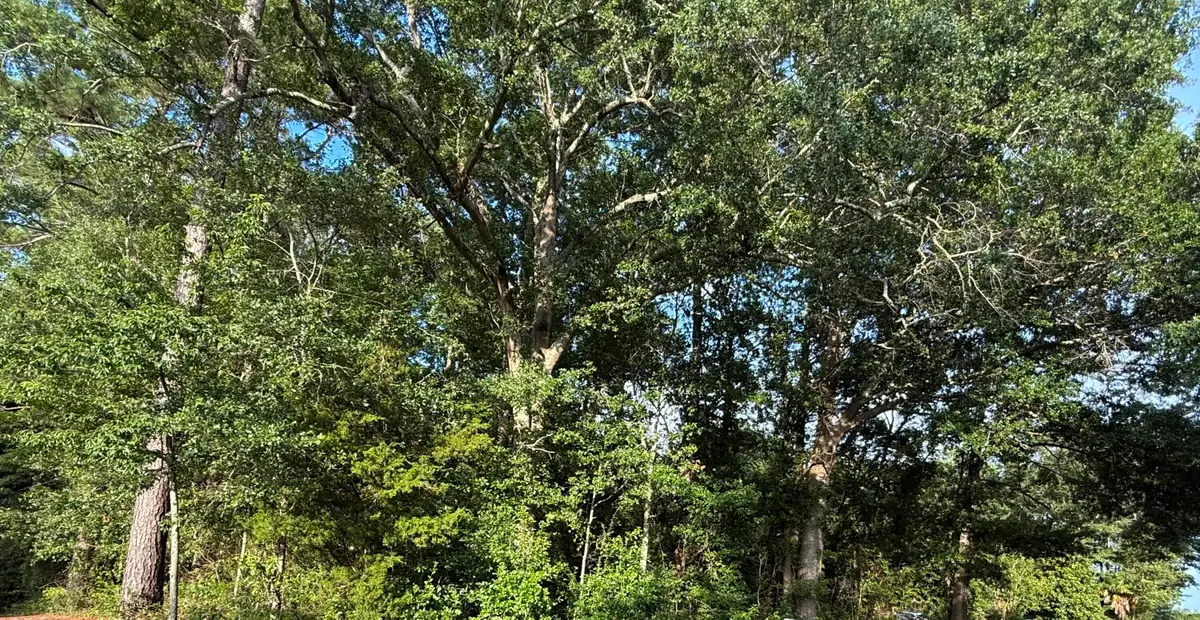 0 Hidden Drive, Orangeburg, SC 29115 - Image #1