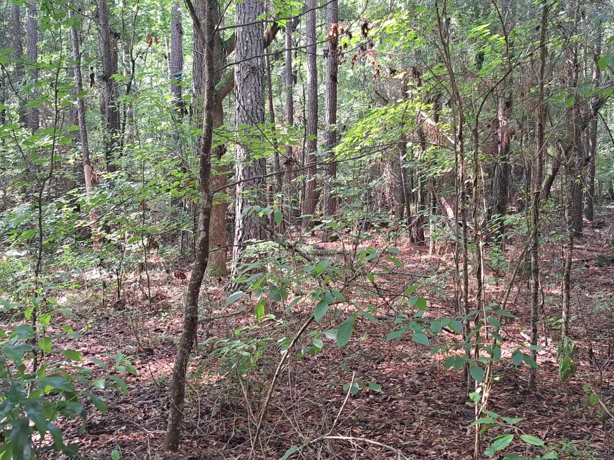 01 Foreever Eclipse Ln, Cross, SC 29436 - Image #1