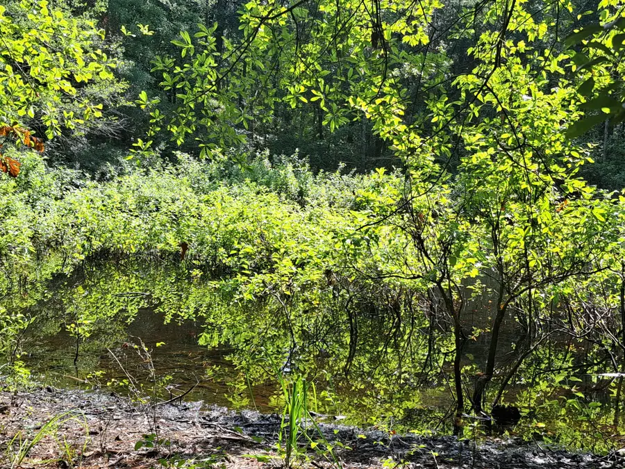 01 Foreever Eclipse Ln, Cross, SC 29436 - Image #2