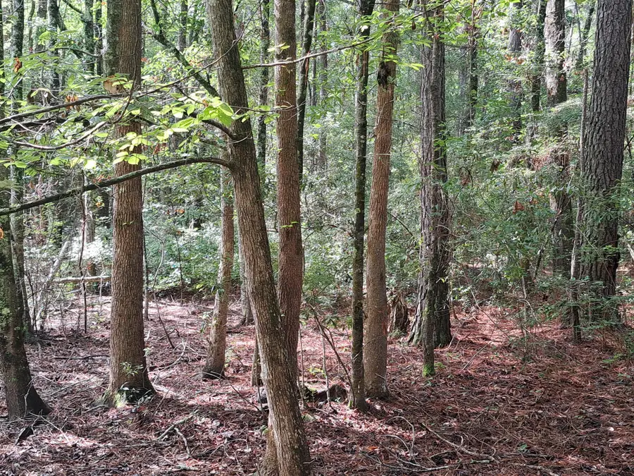 01 Foreever Eclipse Ln, Cross, SC 29436 - Image #3