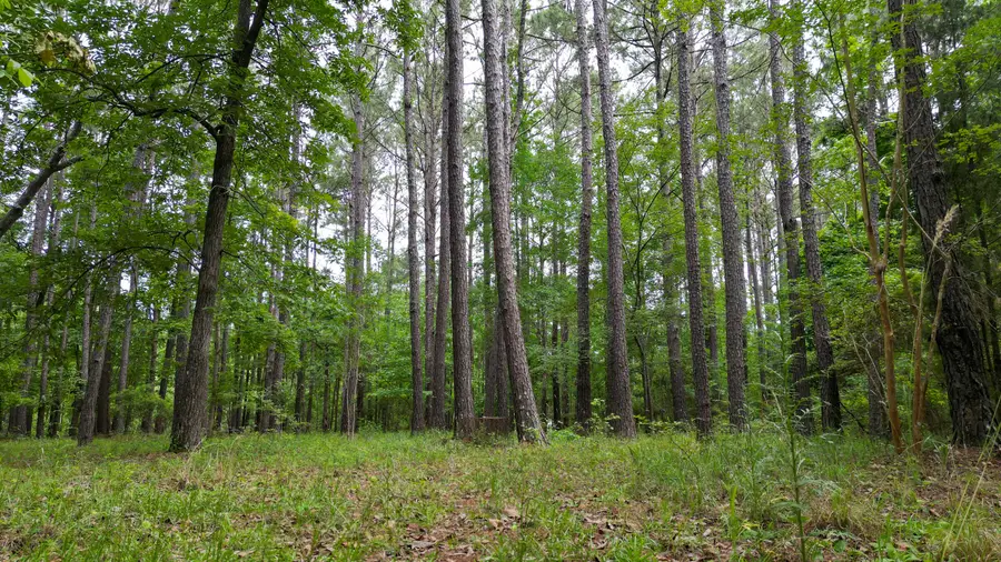 115 Smith Island Trail #B, Bonneau, SC 29431 - Image #2