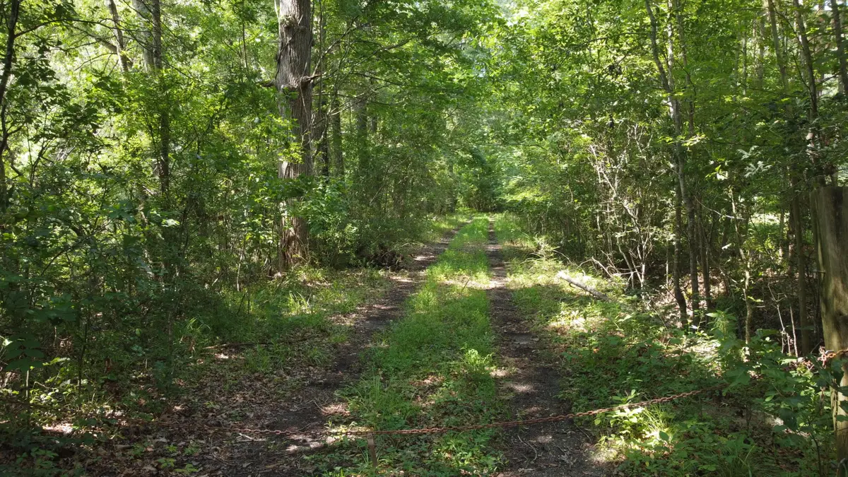 0 Rudd Road, Ridgeville, SC 29472 - #1