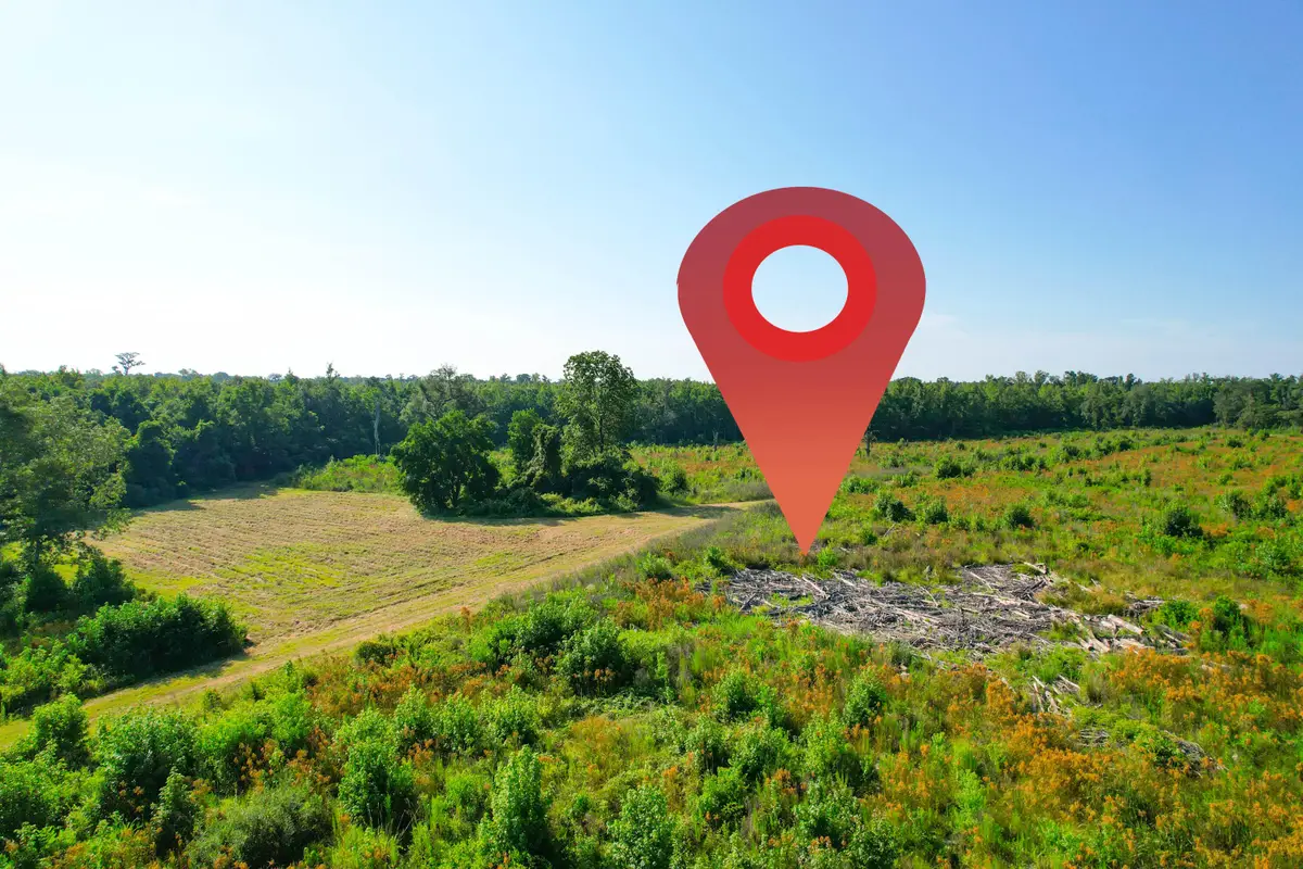 0 Featherbed Road, Walterboro, SC 29488 - #1