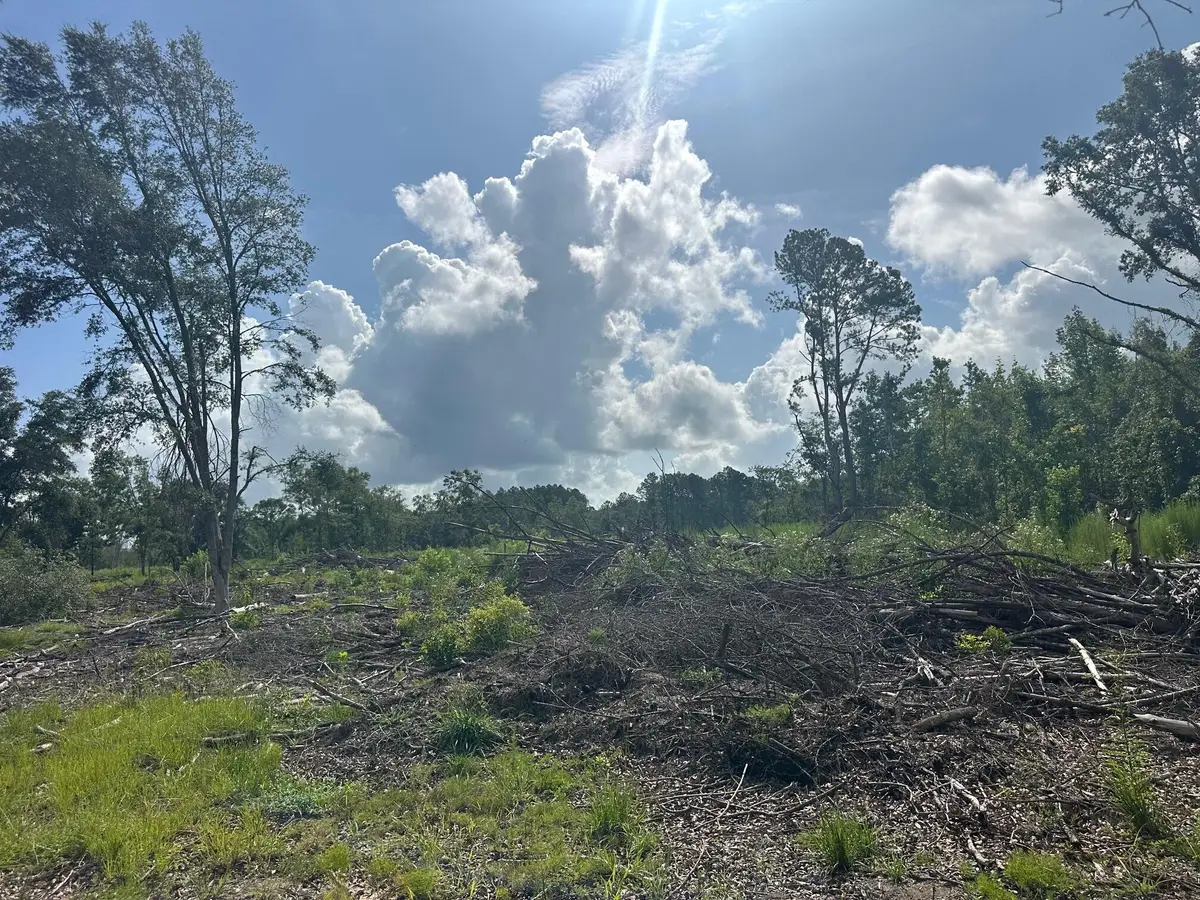 0 Utsey Hill Road, Saint George, SC 29477 - #1