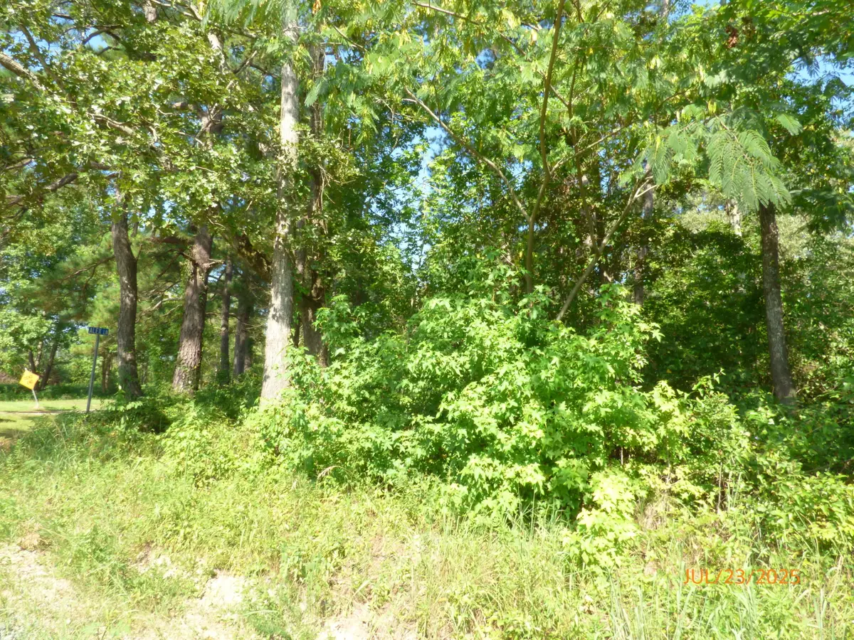 0 Big Woods Road, Pineville, SC 29468 - #1