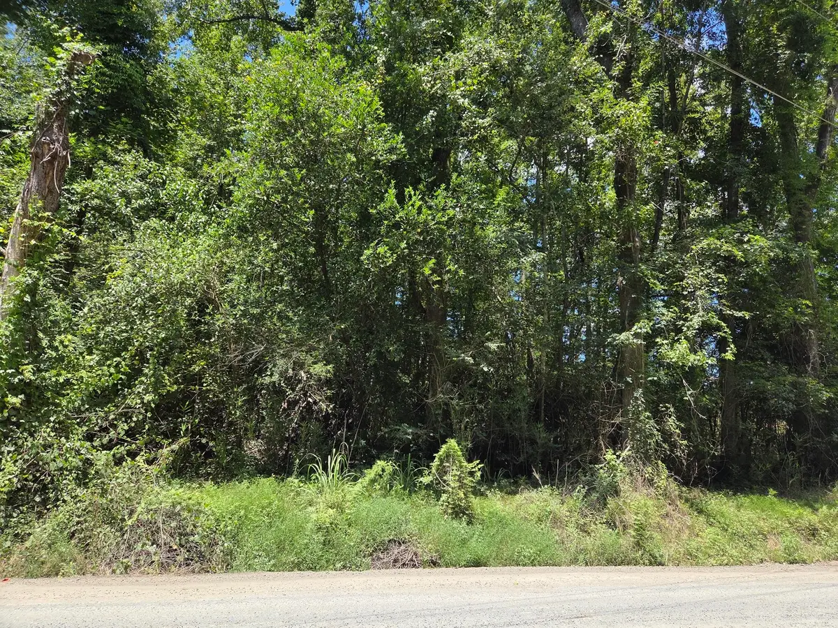 Lot 6 Hill Branch Road, Ridgeville, SC 29472 - #1
