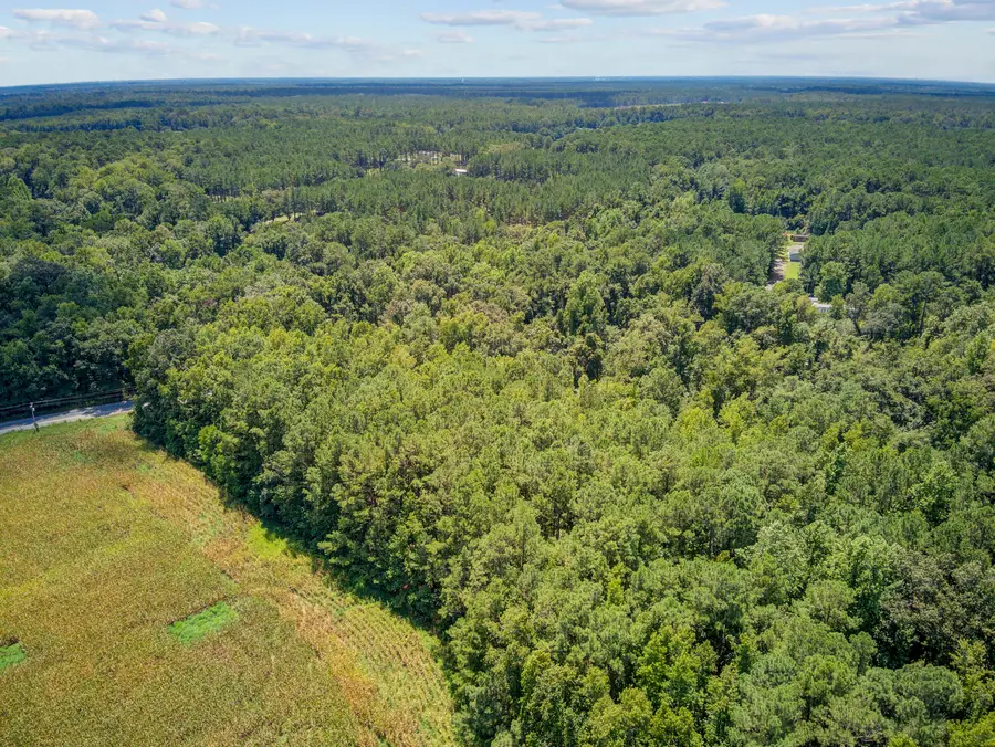 Lot 6 Hill Branch Road, Ridgeville, SC 29472 - #2