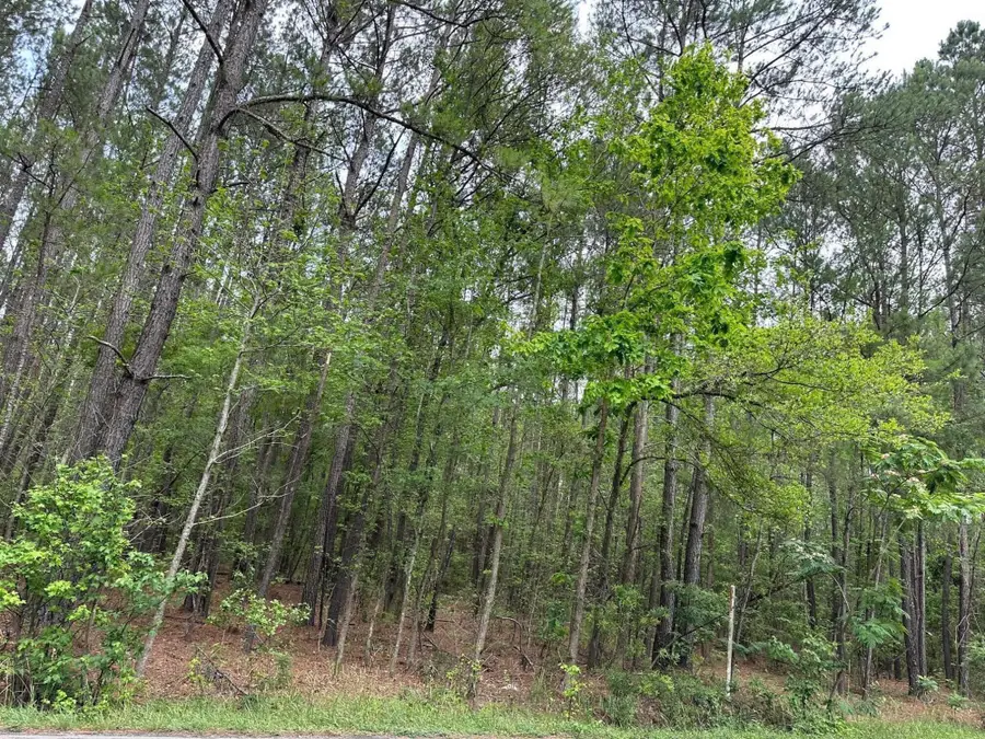 04 Mallard Road, Summerville, SC 29483 - Image #3