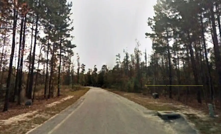 205 Mt Hope Drive, Orangeburg, SC 29118 - Image #3