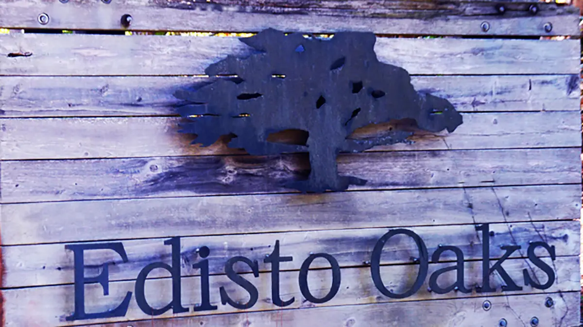 57 Seaside Road, Edisto Island, SC 29438 - #1