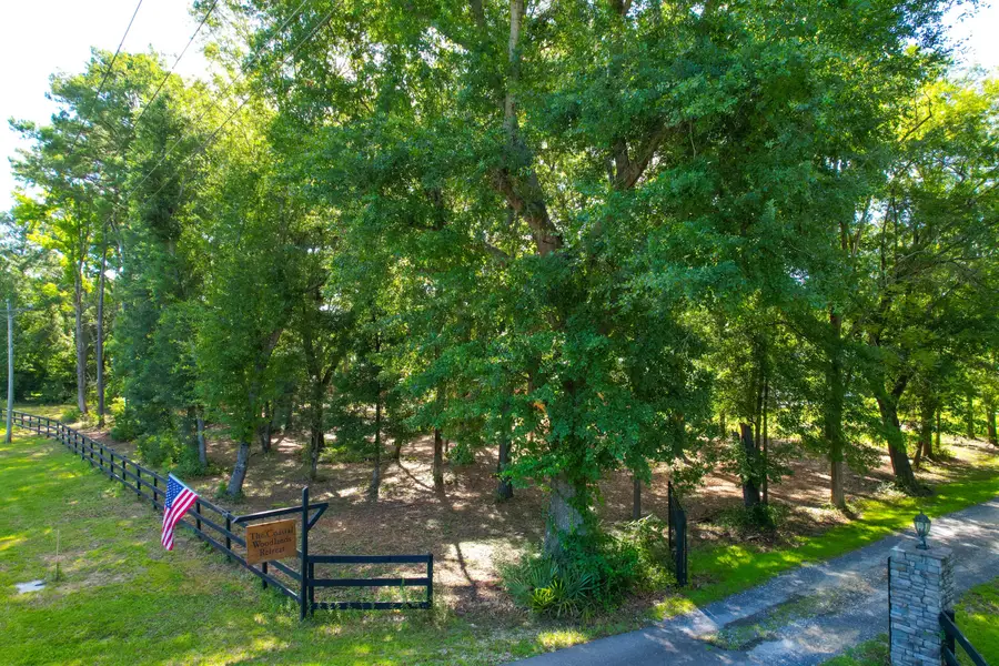 5565 Huckleberry Lane, McClellanville, SC 29458 - Image #2