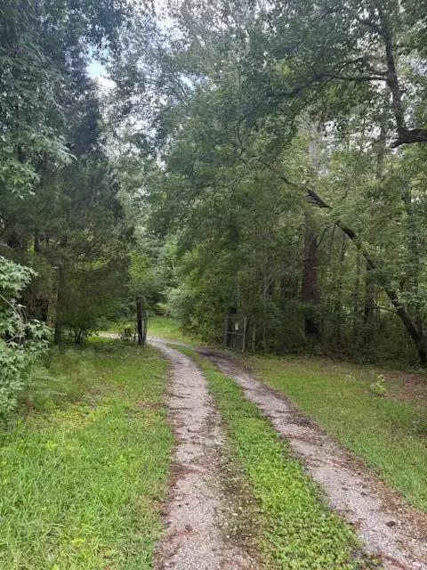 915 Lincolnville Avenue, Lincolnville, SC 29485 - Image #3