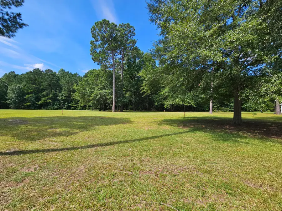 145 Woodlake Drive, Manning, SC 29102 - #2