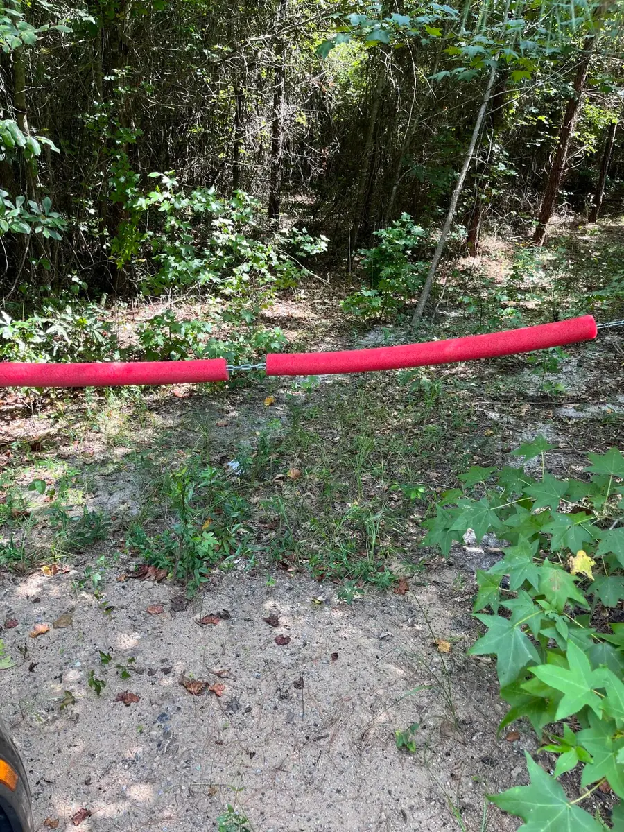 00 Cherry Hill Road, Orangeburg, SC 29115 - Image #2