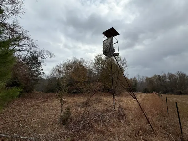 0000 State Rd S-6-169, Williston, SC 29853