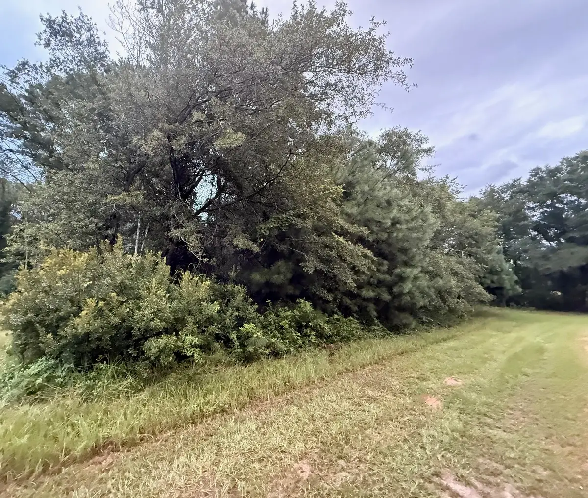 0 Staley Field Lane, Saint Matthews, SC 29135 - Image #1