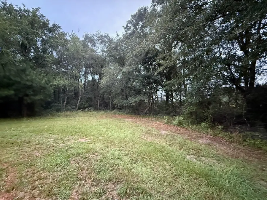 0 Staley Field Lane, Saint Matthews, SC 29135 - Image #2