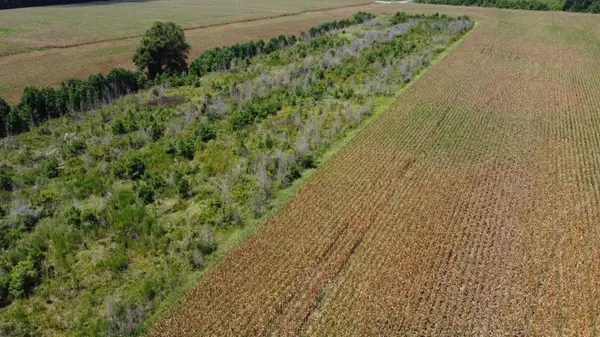 0 Salem Road, Gable, SC 29051