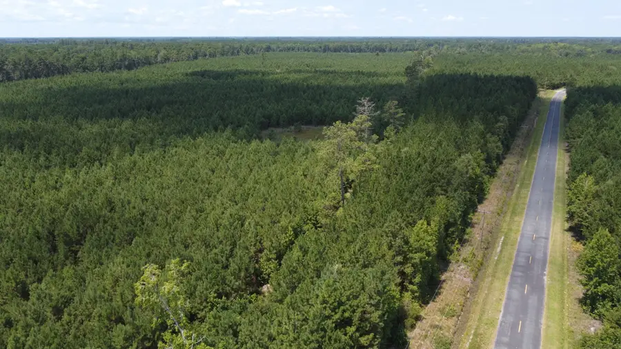 0 Salem Road, Gable, SC 29051 - Image #3