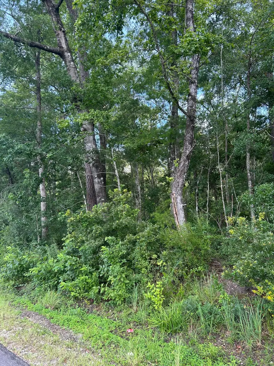 1 Boat Landing Road, Ridgeville, SC 29472 - #2