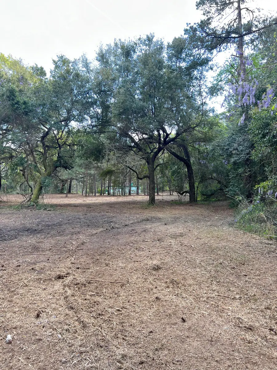 111 Roberta Drive, Eutawville, SC 29048 - #3