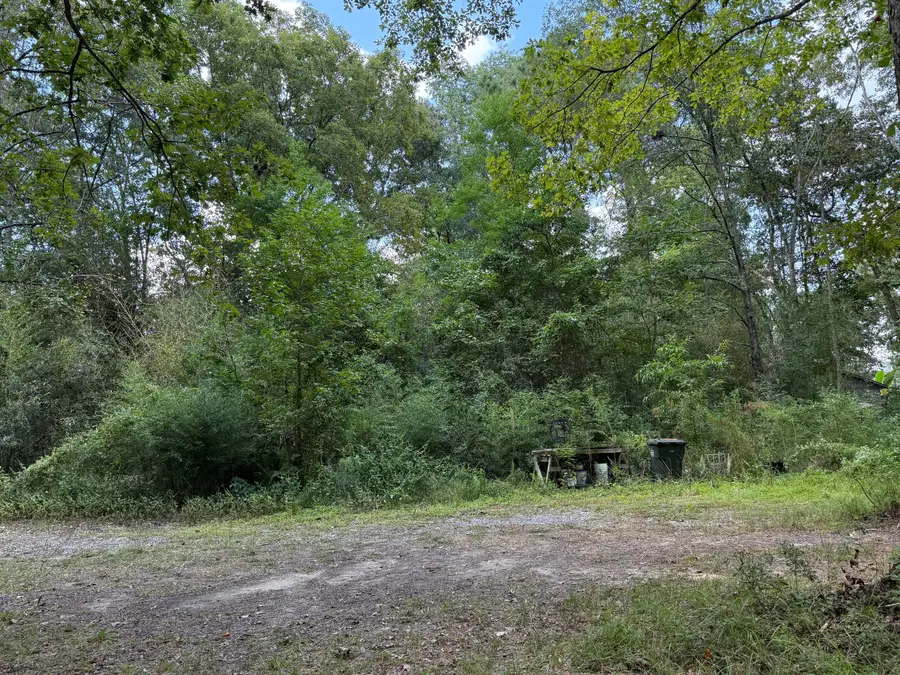 1151 -1b Orangeburg Road, Summerville, SC 29483 - Image #2